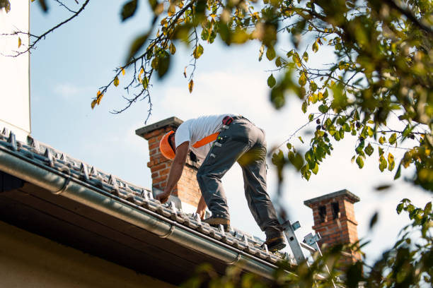 Roof Moss and Algae Removal in Fairchild Af, WA